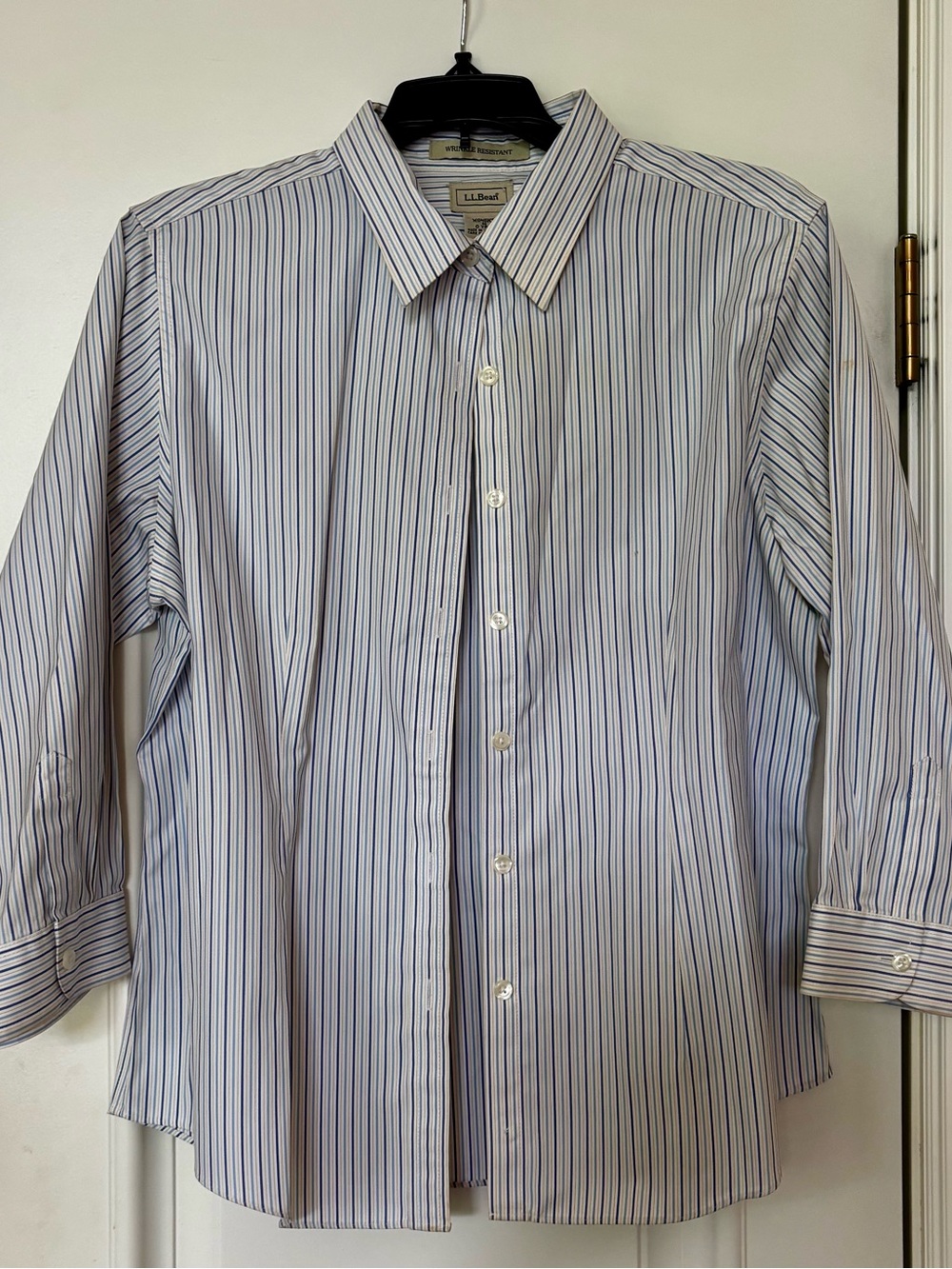 L.L. Bean Women's White Button-Down Shirt with Blue Stripes